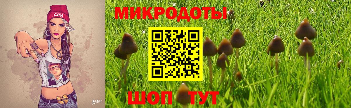 Псилоцибиновые грибы Psilocybe  Вход с VPN  Балаково  даркнет сайт  Галлюциногенные грибы ЛСД 